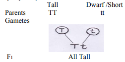 Law of dominance of traits